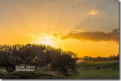 22619653698_dfd54c9897_z