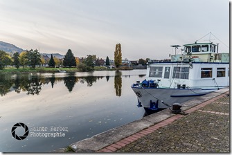 22651536006_21c7d4ec86_z