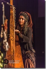 22664806642_43018356b0_z