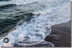 23049417331_72d2da9c44_z