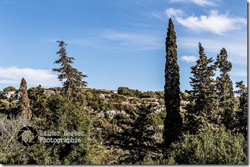 25385341423_0b7ce0df8c_z