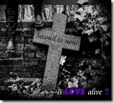 ILA-Second to none, Frontcover